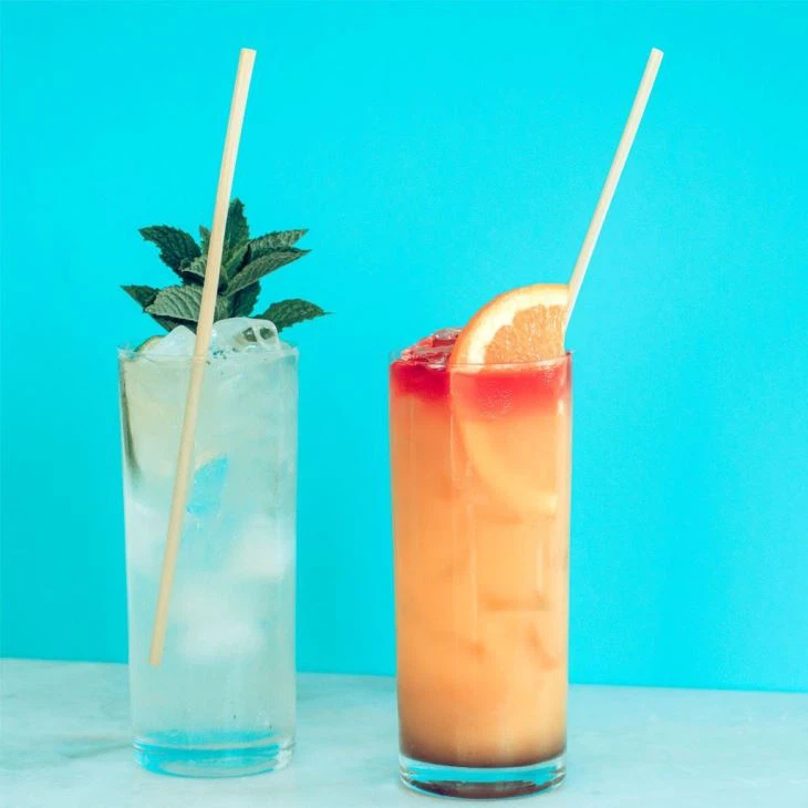 Biodegradable Disposable Nplej Nplej Haus Ntsws